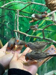 -Zoolung Zoolung动物主题公园(海信广场店)