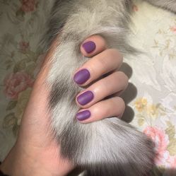 -蜜丝卡伦美甲美睫半永久
