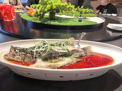 -万柳阁小馆·花园餐厅(龙潭湖店)