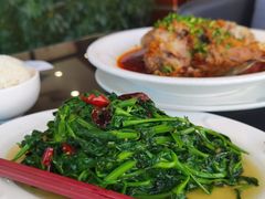 炝炒豌豆尖-东坡酒家(天塔店)