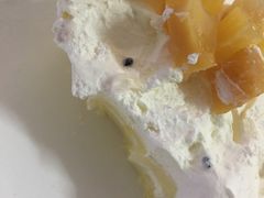鲜乳魔方-卡滋贝诺动物奶油生日蛋糕(亚太潮尚店)