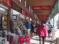 -清平中药材专业市场