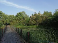 -苏州太湖国家湿地公园