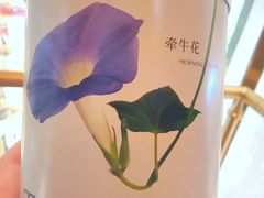 -大树餐厅(环球港店)