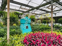 -南宫五洲植物乐园