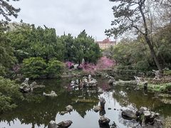 -叶家花园