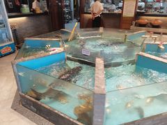 -忆江南·临江鱼馆