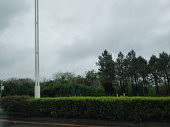 -瑶湖郊野森林公园