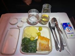 -新加坡航空公司(ION)