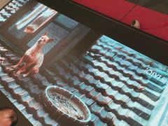 -517烧烤·龙虾·海鲜大排档(万象都荟店)