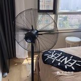 装修好的新房为何不能立马入住呢？