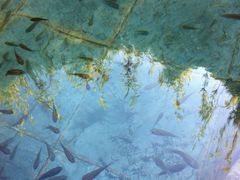 -森波拉火山温泉