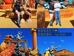 -哈尔滨波塞冬海底世界