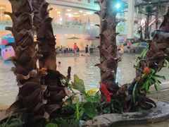 -南宫温泉水世界