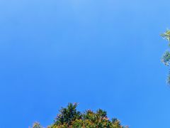 -白城沙滩