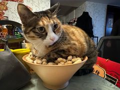 -新荟城(望京店)