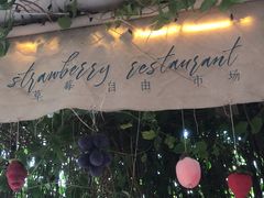 -野草莓自由市场