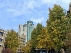 -北京市陈经纶中学