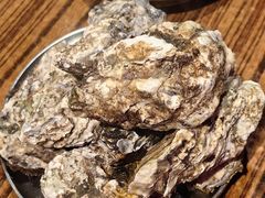 -蚝堡海鲜·威海菜·海肠捞饭·烧烤·亚洲吃蚝公司(幸福门店)