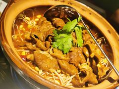 香辣肥肠煲-龙巢盱眙龙虾·牛蛙·烧烤宵夜(八卦岭店)