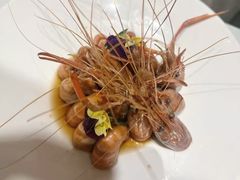 -阿露佳·舌尖上的安吉菜