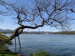 -浙江西子宾馆·牡丹厅