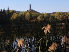 -北坞公园