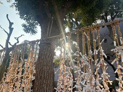 -难波八坂神社
