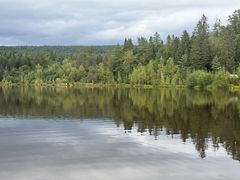 -五营红松林海景区