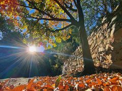 -鹫峰国家森林公园