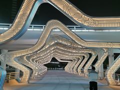 -演武大桥观景平台