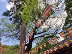 -少华山国家森林公园