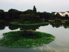 -南花桥羊肉馆老字号(乌镇店)