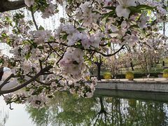 -元大都城垣遗址公园
