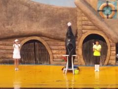 android_upload_pic-秦皇岛乐岛海洋王国