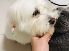 -美联众合24小时·皮肤科·外科·全科诊疗中心(华苑分院)