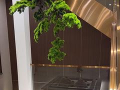 -正清和·推拿养生(二七广场店)