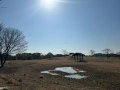 -良渚古城遗址公园