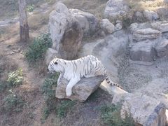 -石家庄市动物园