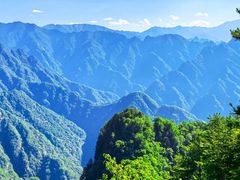 -中关村茶点