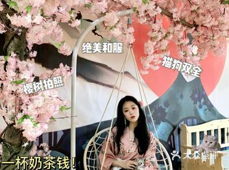 樱花树下穿和服坐着撸猫 才一杯奶茶钱？！