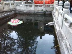 android_upload_pic-碧云寺