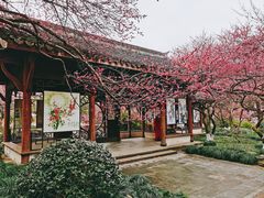 -杭州植物园