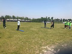 -春花秋色城市公园