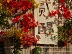 -贰醒·私房小院烧烤 (太古里店)