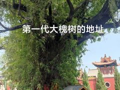-大槐树寻根祭祖园