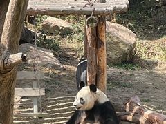 -宁波野生动物园