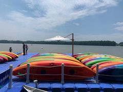 -上海海湾国家森林公园