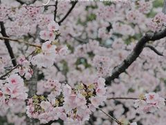 -静安雕塑公园