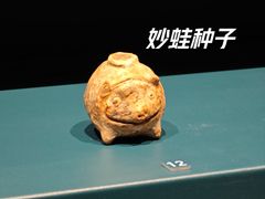 -三星堆博物馆